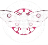 Sintral Valley Derby